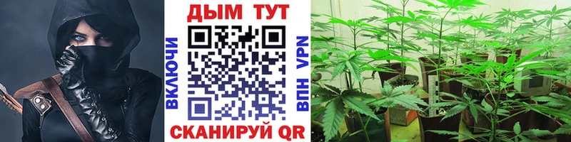 Виды наркоты Лесной COCAIN  МЕФ  БУТИРАТ  Амфетамин  ГАШ  A-PVP 