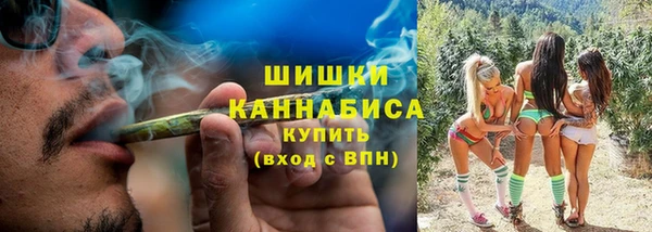 шишки Алексеевка