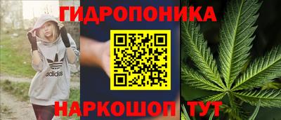 гашик Балахна