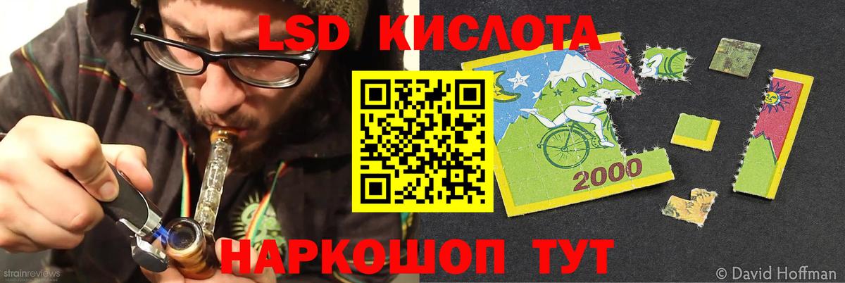 LSD-25 экстази кислота Лесной