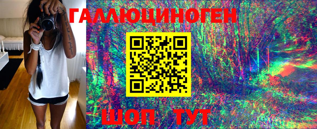 Лесной  Галлюциногенные грибы прущие грибы  Вход с VPN  Галлюциногенные грибы мухоморы 
