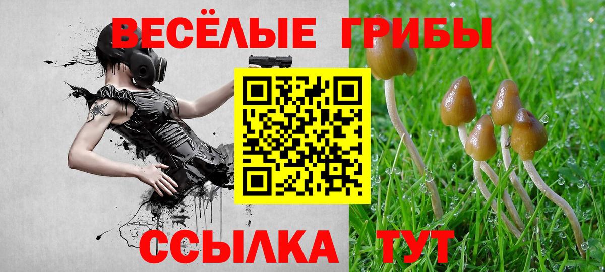 Псилоцибиновые грибы GOLDEN TEACHER Лесной