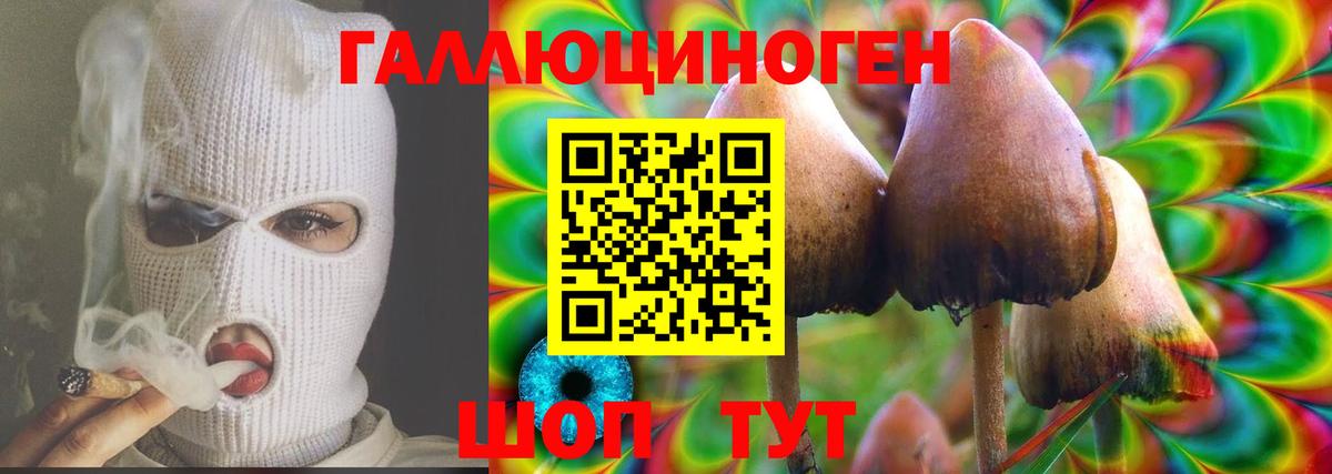 Псилоцибиновые грибы Magic Shrooms  Галлюциногенные грибы мухоморы  купить наркотик  Лесной 