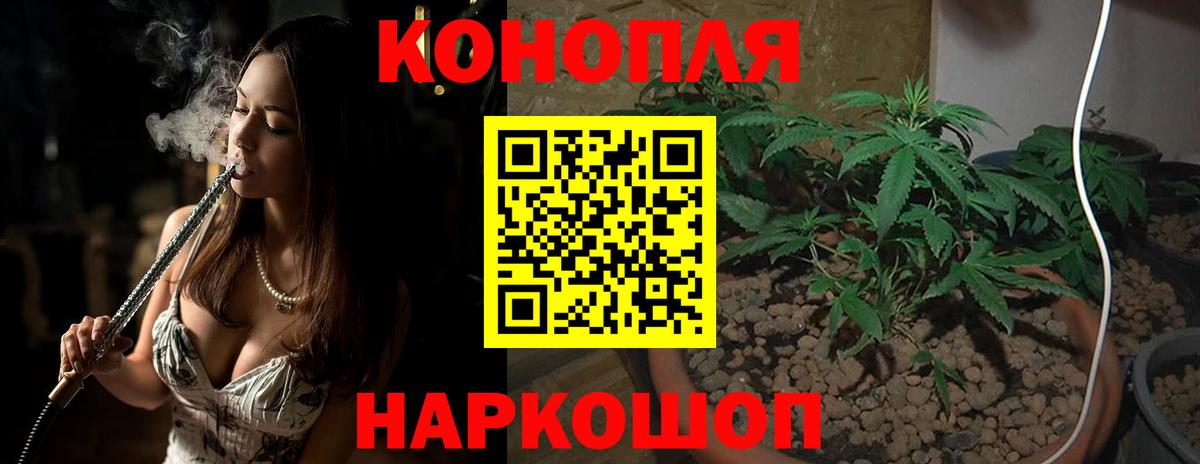 Каннабис гибрид Лесной